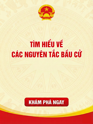 Tìm hiểu về các nguyên tắc bầu cử